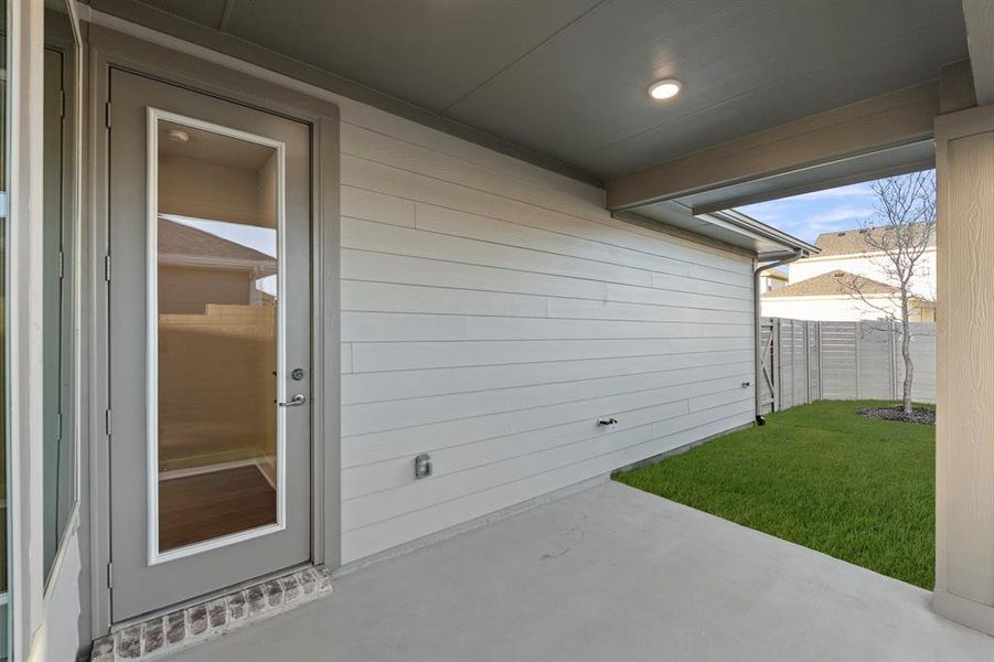 25. 3124 Lenten Rose - Patio