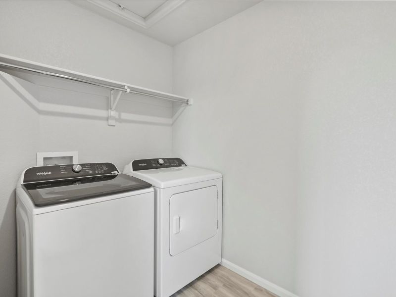 Welcome to the Juniper floorplan. Welcome to the Juniper floorplan.