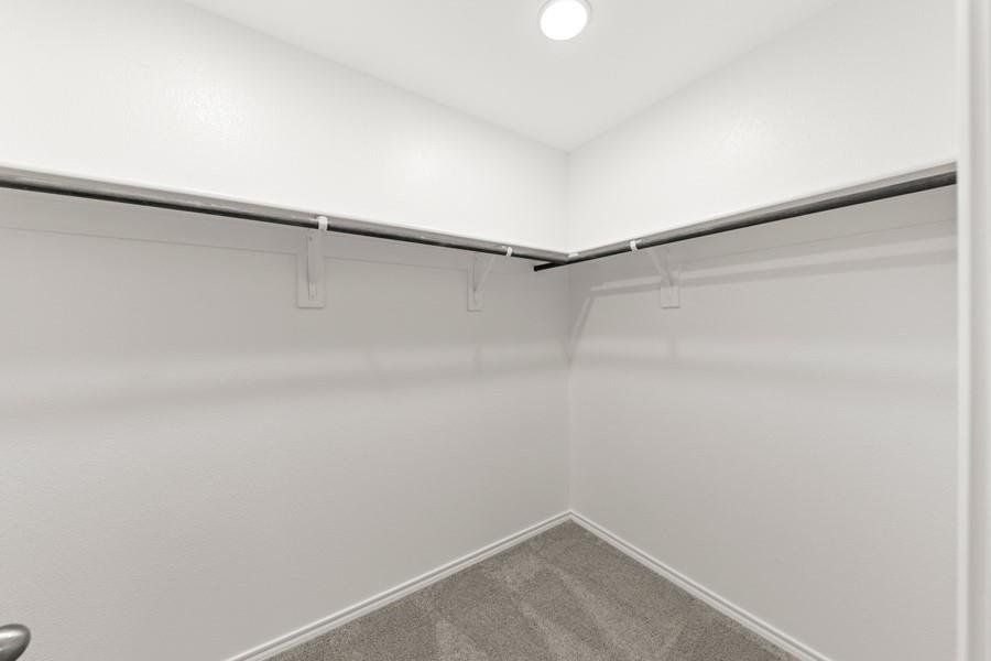 InteriorImage 19 InteriorImage 19