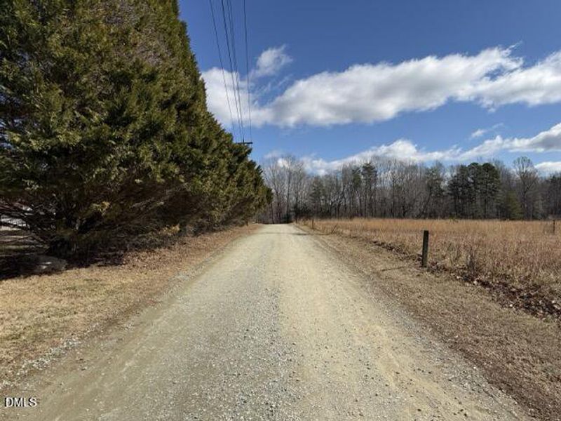 IMG_3213 Medium IMG_3213 Medium