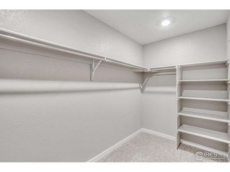 Spacious, unfurnished interior of a new home in Tailholt, Severance (Image 19).