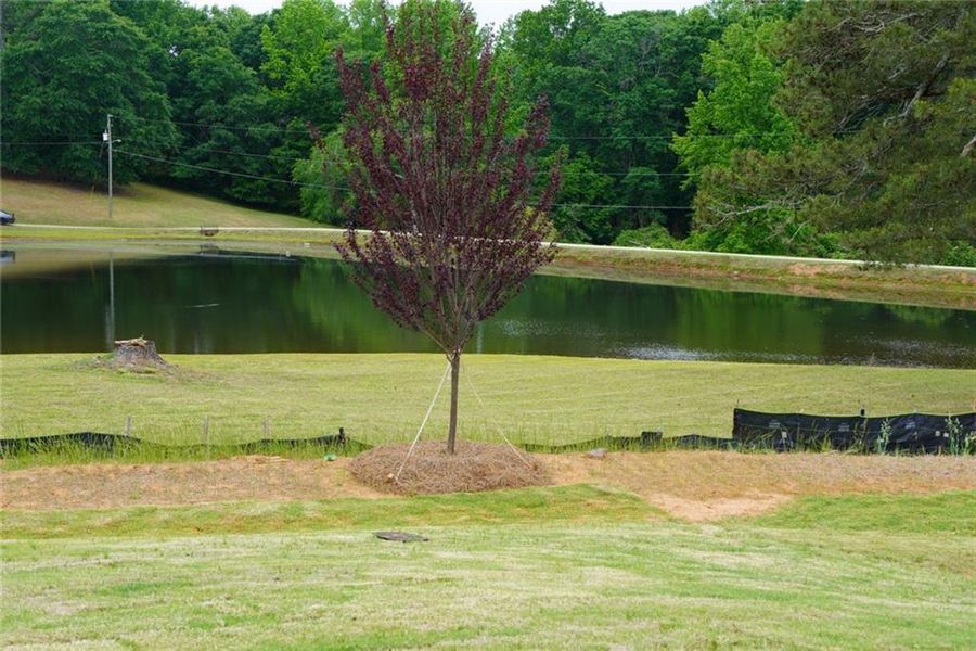 Natural landscape and outdoor views near Lexington Meadows in Athens (Image 30).