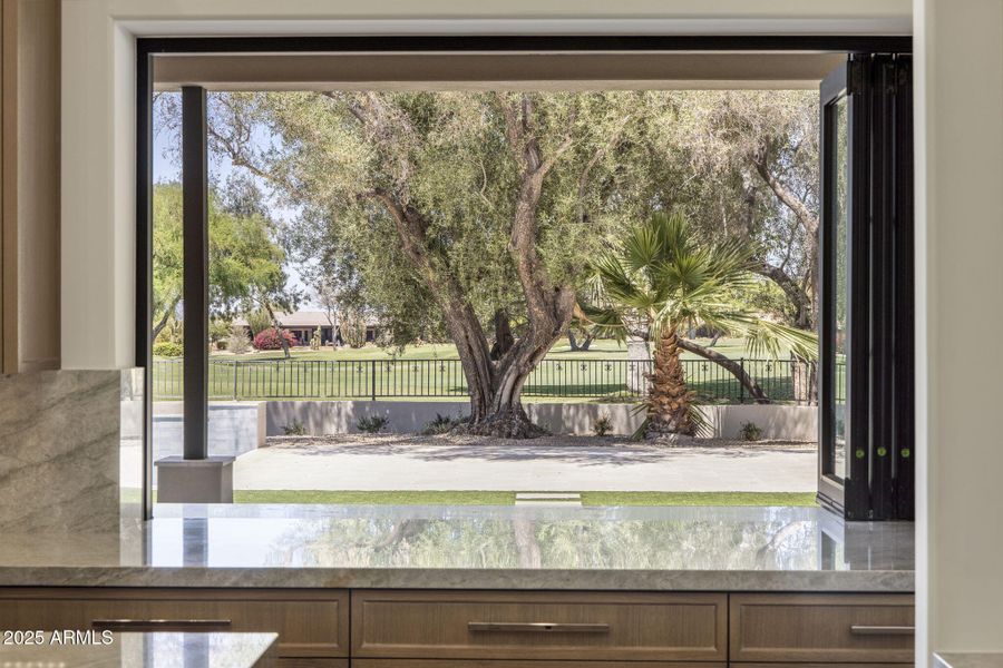 77-web-or-mls-D46A0664