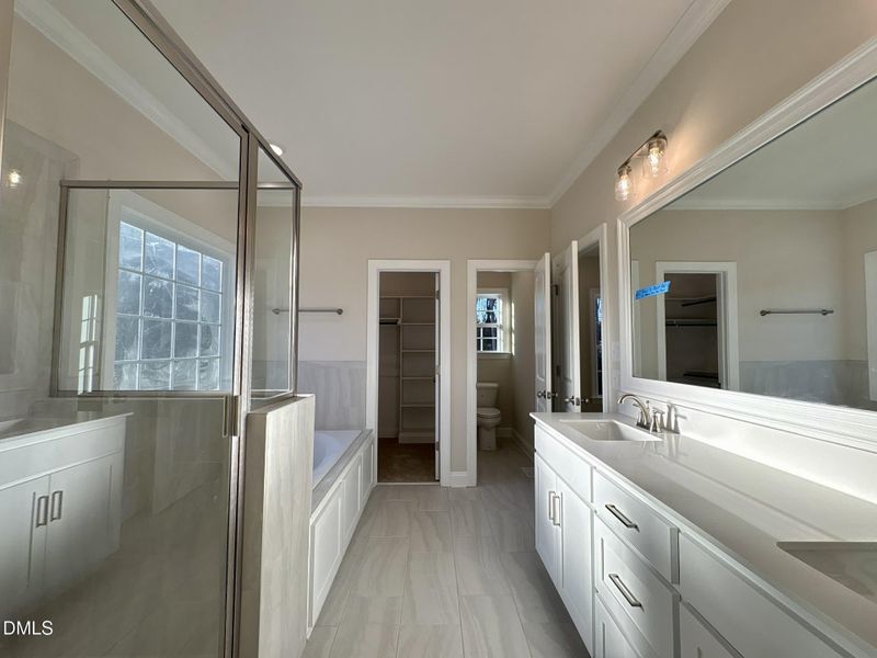 43f1c8d0-b213-4ba5-ae3d-4a7233df8ce8