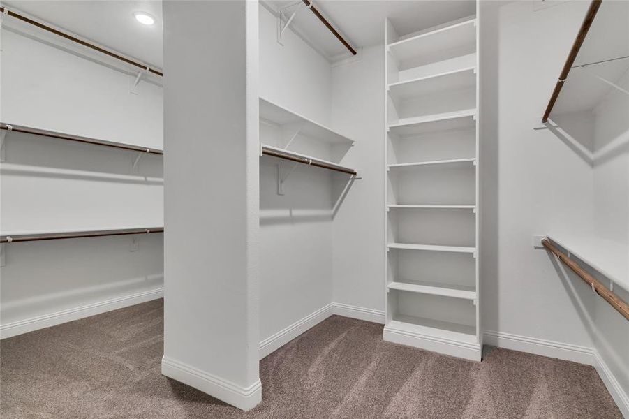 Spacious closet featuring dark colored carpet