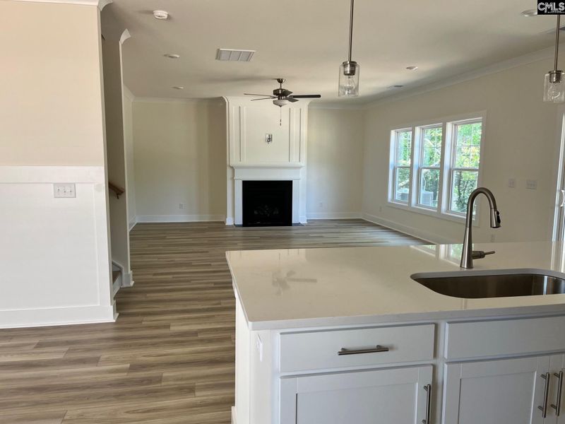 Furnished interior view inside a new home in Blythewood Farms, Blythewood (Image 3). Furnished interior view inside a new home in Blythewood Farms, Blythewood (Image 3).
