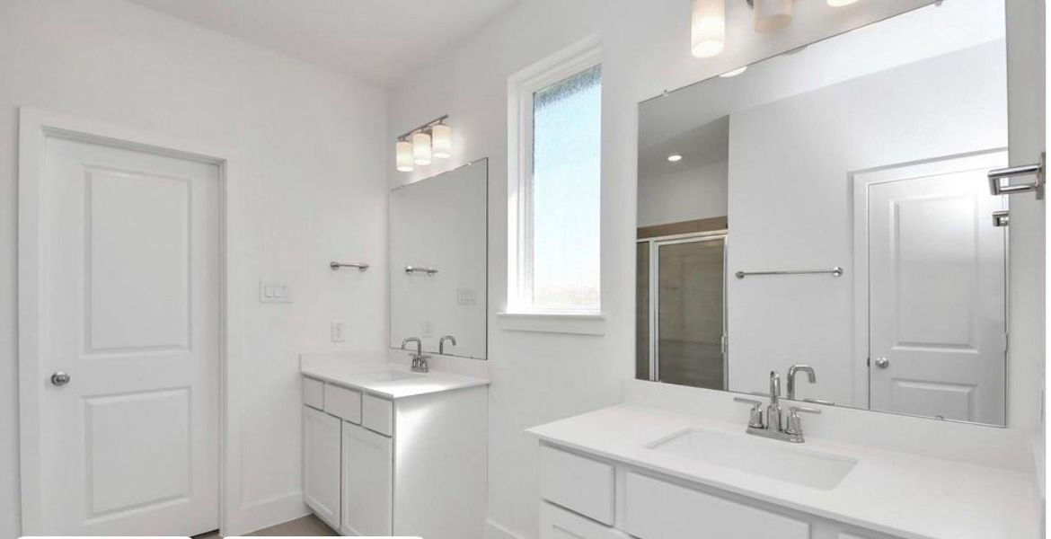 14438 Trumpet Primary Bath 14438 Trumpet Primary Bath