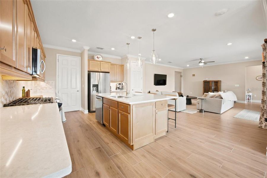 Furnished interior view inside a new home in Ocala Preserve, Ocala (Image 33).