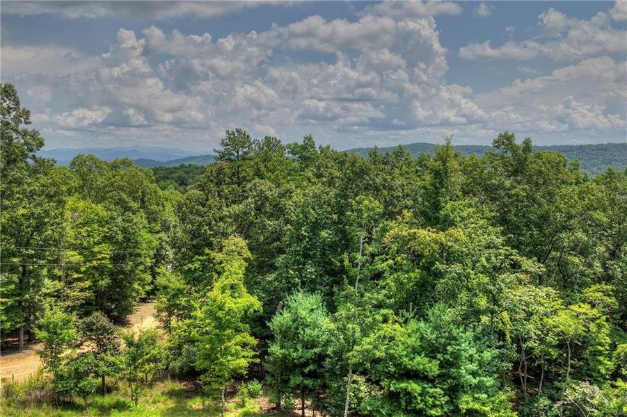 Natural landscape and outdoor views near  in Morganton (Image 38).