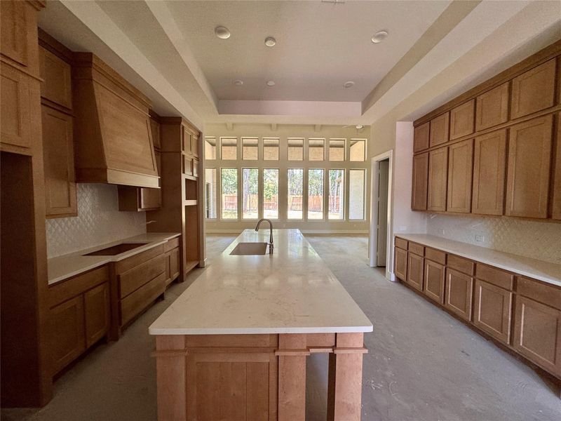 Open Kitchen with Built Ins
