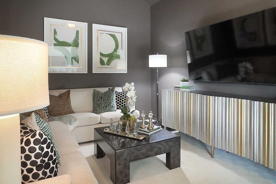 Representative Entertainment Room - some options shown Representative Entertainment Room - some options shown