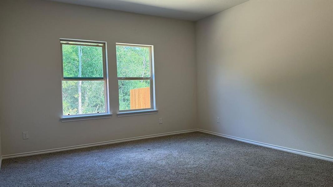Room featuring two windows, neutral wall tones, and gray carpeting