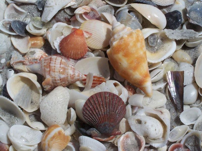 Image 42 of a home in .