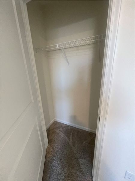 Spacious, unfurnished interior of a new home in Springwood Grove, Central (Image 35).