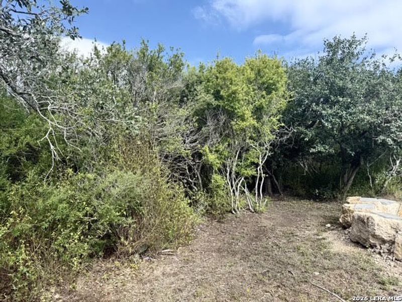 Natural landscape and outdoor views near  in Beeville (Image 22).