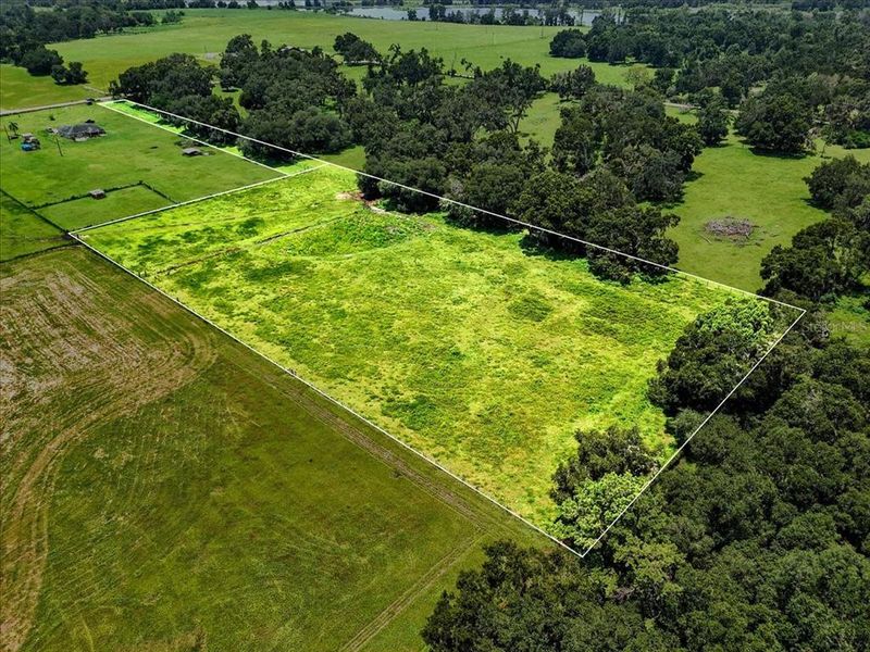 Natural landscape and outdoor views near  in Dade City (Image 27).