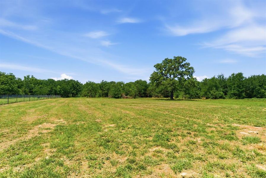 Natural landscape and outdoor views near  in Whitt (Image 31).