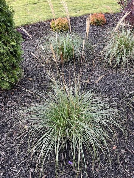 Image 164 of a home in . Image 164 of a home in .