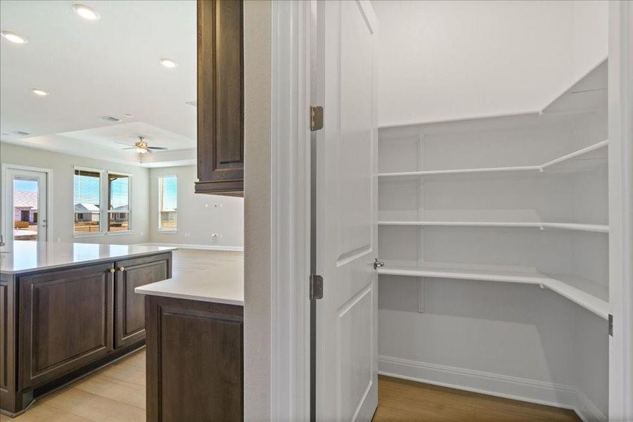 Plenty of space in the walk-in pantry.