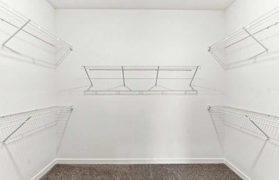 Spacious, unfurnished interior of a new home in Vida's Way, Wesley Chapel (Image 17).