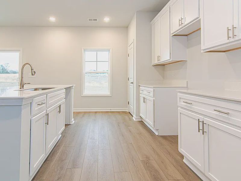 Furnished interior view inside a new home in Portrait Hills, Aiken (Image 3).