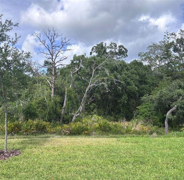 Natural landscape and outdoor views near Del Webb River Reserve in Spring Hill (Image 23).