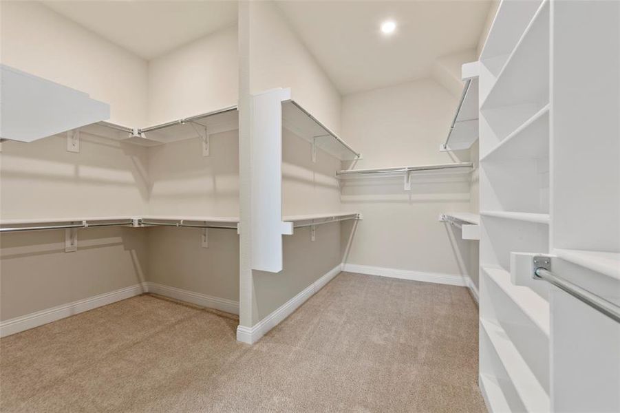 Spacious closet featuring light carpet