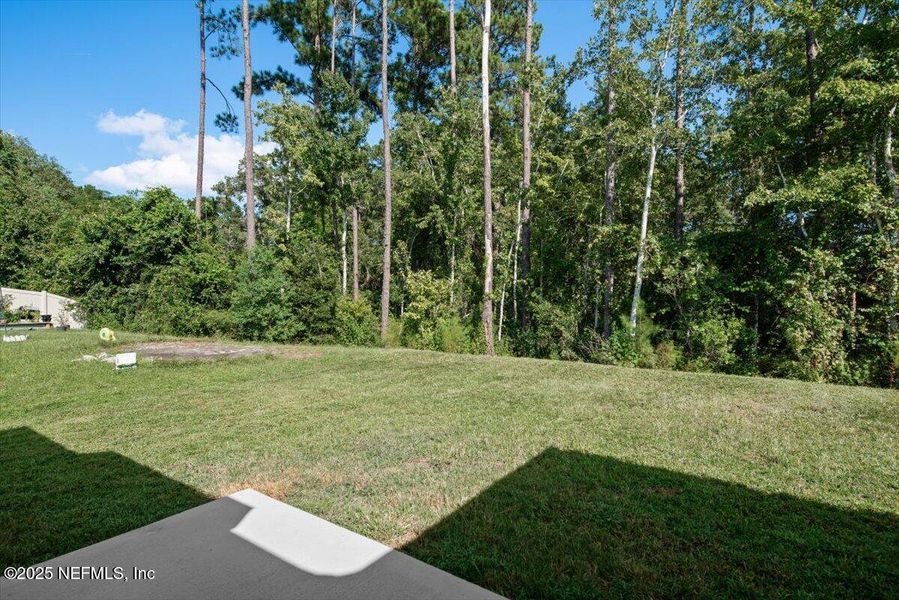Natural landscape and outdoor views near Willow Springs in Green Cove Springs (Image 39). Natural landscape and outdoor views near Willow Springs in Green Cove Springs (Image 39).