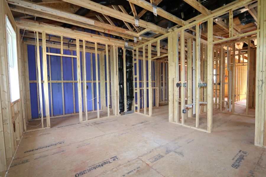 Framing Framing