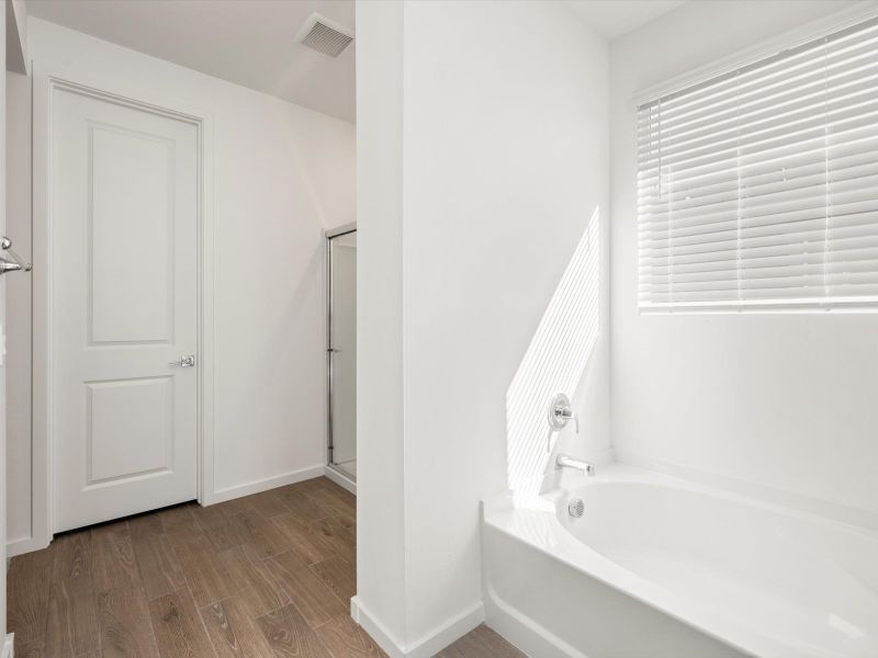 Spacious, unfurnished interior of a new home in Mesquite Mountain Ranch at Frontera, Surprise (Image 9).