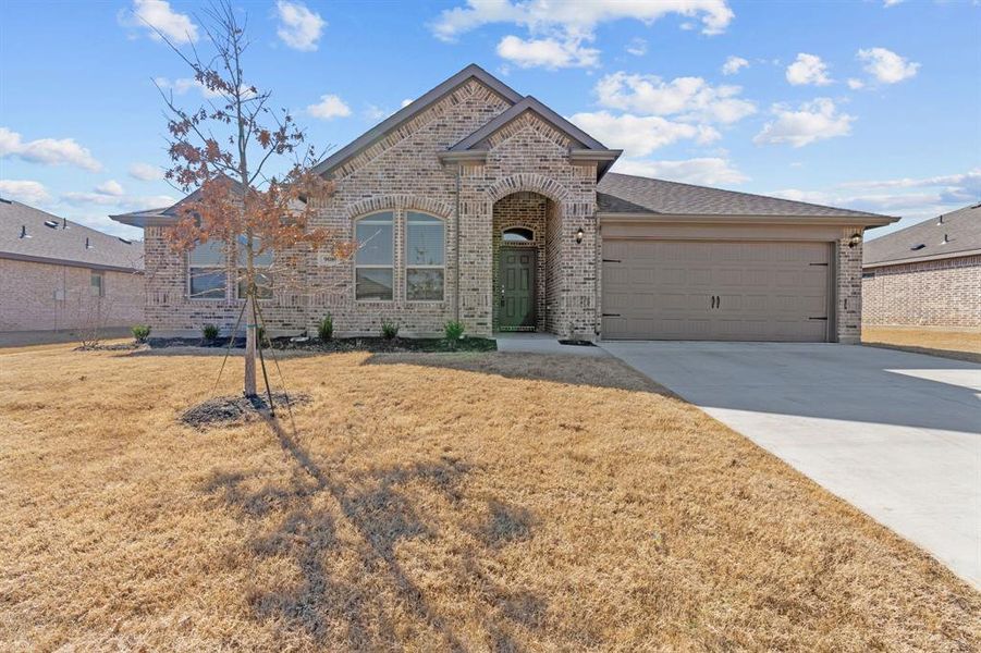 Front Yard Front Yard