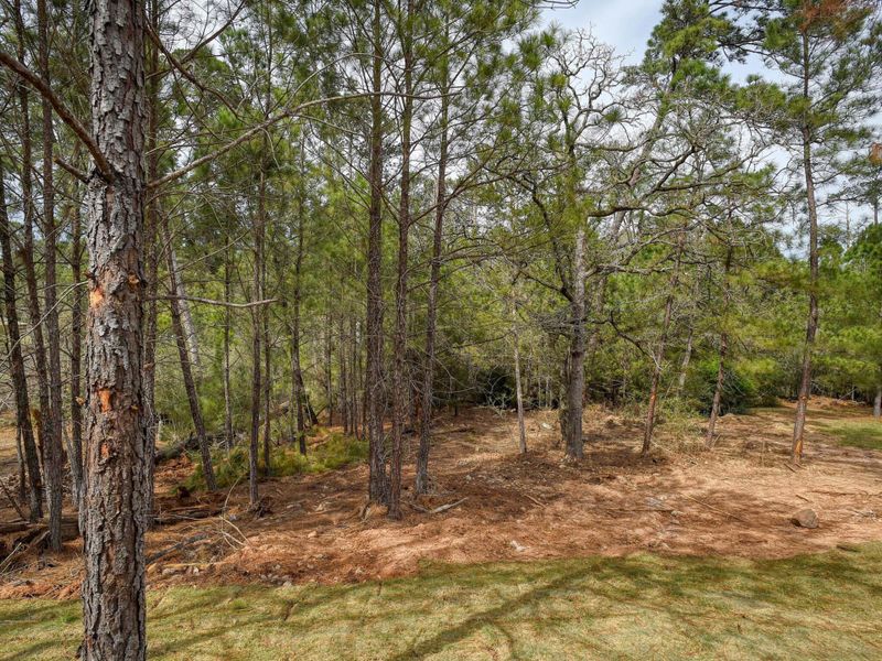 Natural landscape and outdoor views near  in Bastrop (Image 30).