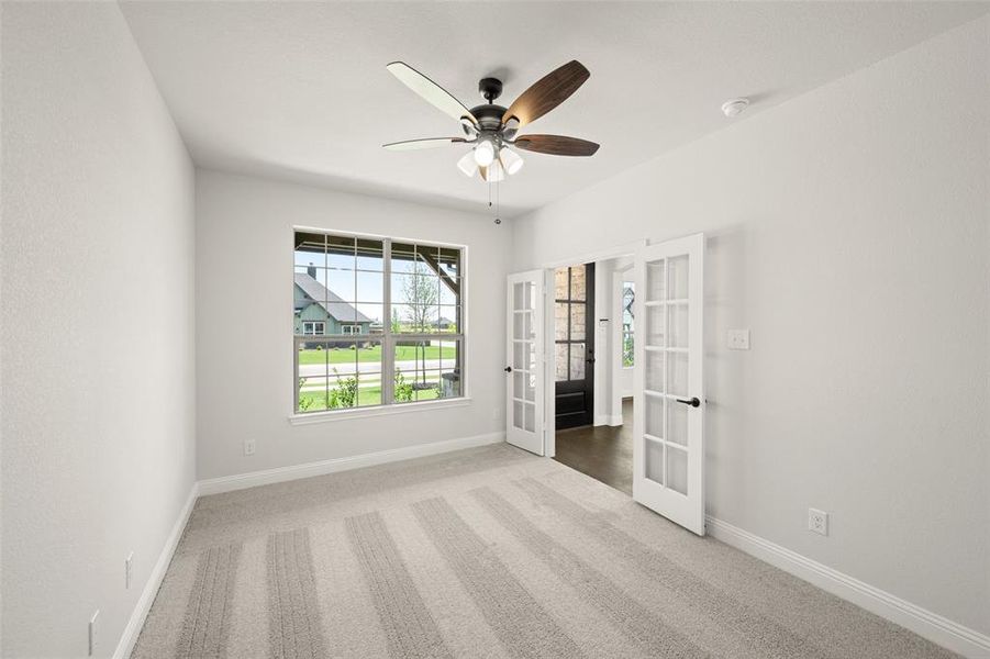 124 Red Fox- Study-1