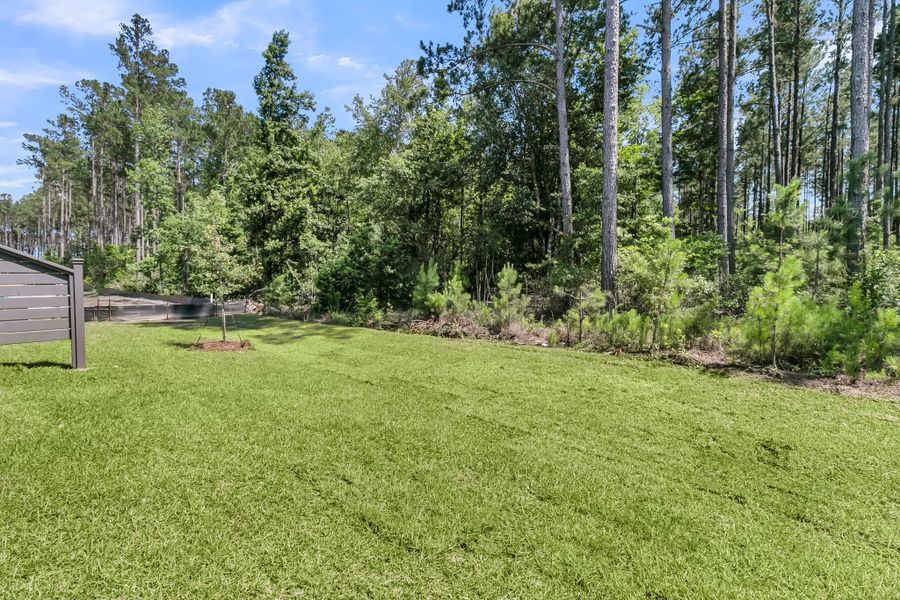 Natural landscape and outdoor views near Hammock Walk at Nexton in Summerville (Image 18). Natural landscape and outdoor views near Hammock Walk at Nexton in Summerville (Image 18).