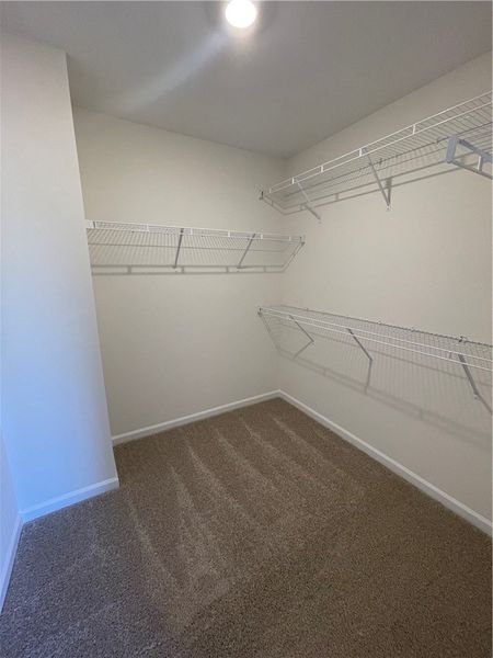 Spacious, unfurnished interior of a new home in Springwood Grove, Central (Image 28).