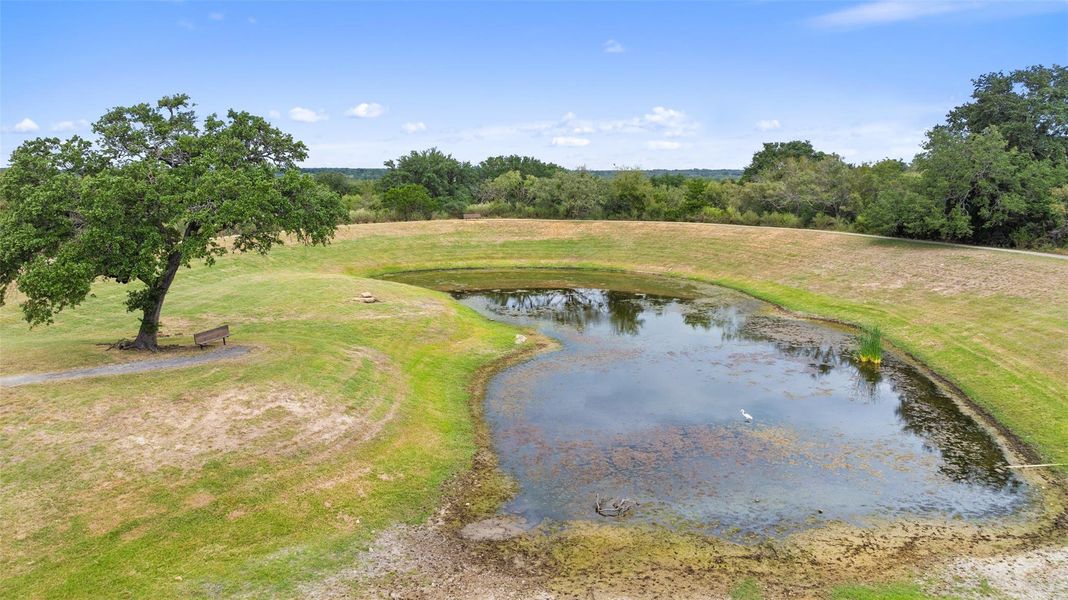 The community pond located behind the property provides beautiful views with no homes behind The community pond located behind the property provides beautiful views with no homes behind