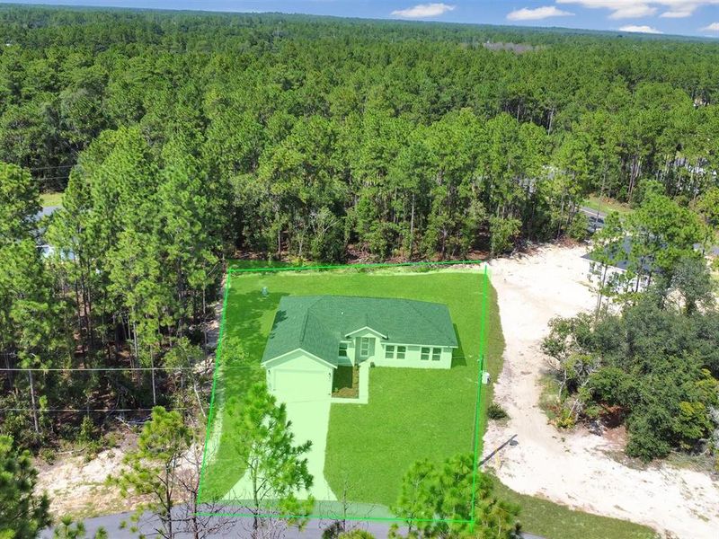 Natural landscape and outdoor views near in Ocala (Image 35). Natural landscape and outdoor views near in Ocala (Image 35).
