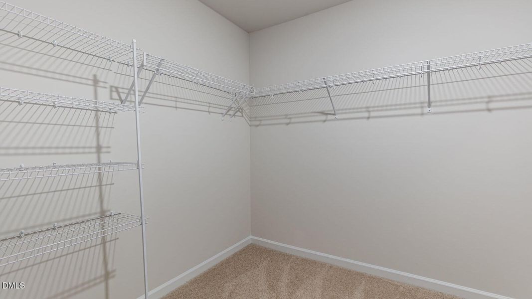 40-whistling-willow-youngsville-nc-usa-0