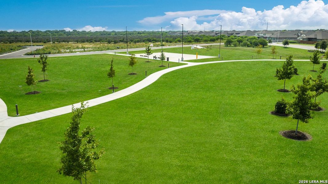 Natural landscape and outdoor views near Steele Creek in Cibolo (Image 55).
