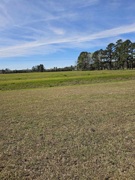 Natural landscape and outdoor views near Edgefield in Loris (Image 35).