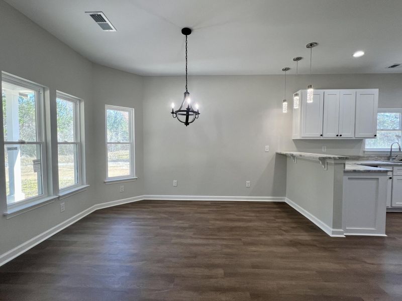 Spacious, unfurnished interior of a new home in , McClellanville (Image 21).