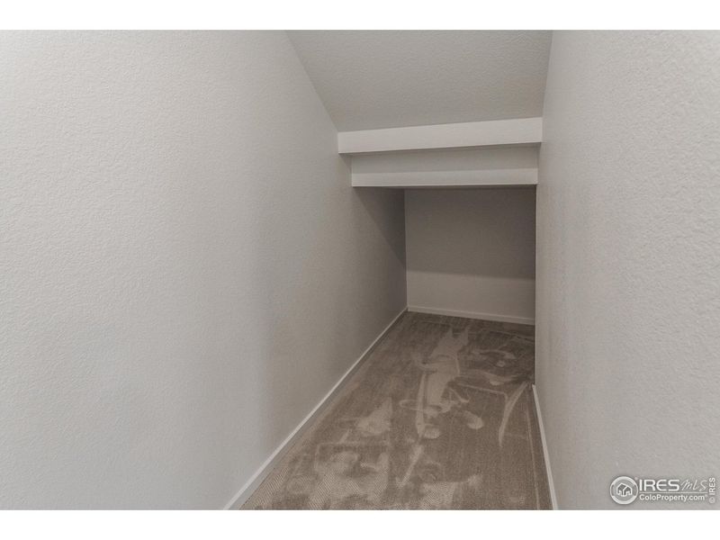 Spacious, unfurnished interior of a new home in Trailside Story Collection - Single Family Homes, Timnath (Image 23).