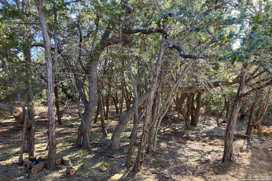 Natural landscape and outdoor views near in Canyon Lake (Image 4). Natural landscape and outdoor views near in Canyon Lake (Image 4).