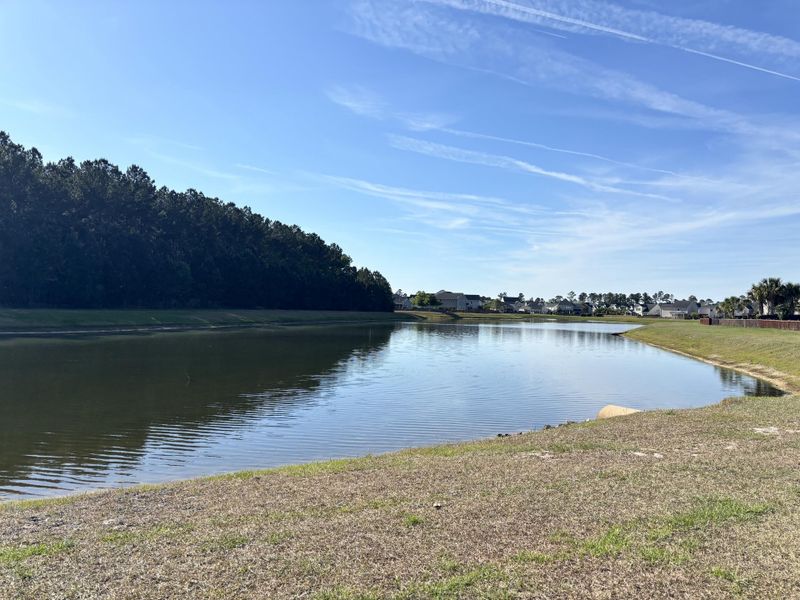 Natural landscape and outdoor views near  in Summerville (Image 6).