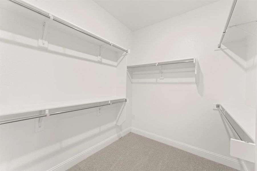 24. 3016 Beau Daniel - Closet 24. 3016 Beau Daniel - Closet