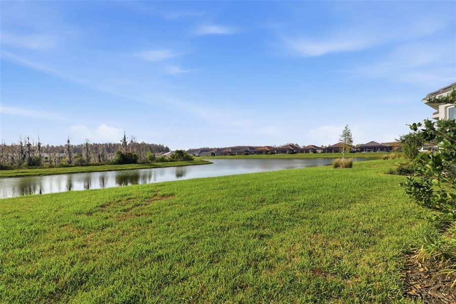 Natural landscape and outdoor views near in Wesley Chapel (Image 25). Natural landscape and outdoor views near in Wesley Chapel (Image 25).