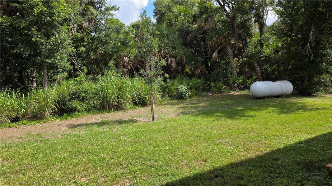 Natural landscape and outdoor views near  in North Port (Image 47).