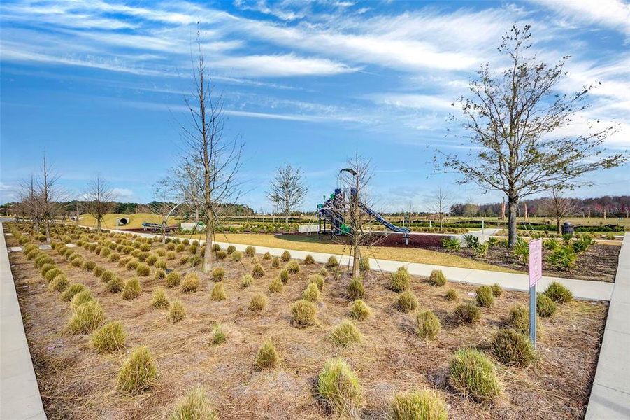 Community amenities in Laureate Park, Orlando (Image 52).