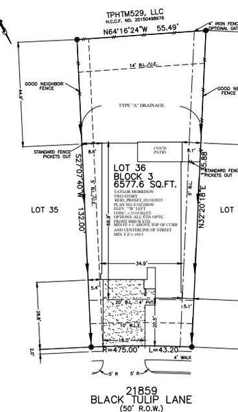 21859 Black Tulip Lane preliminary plot plan