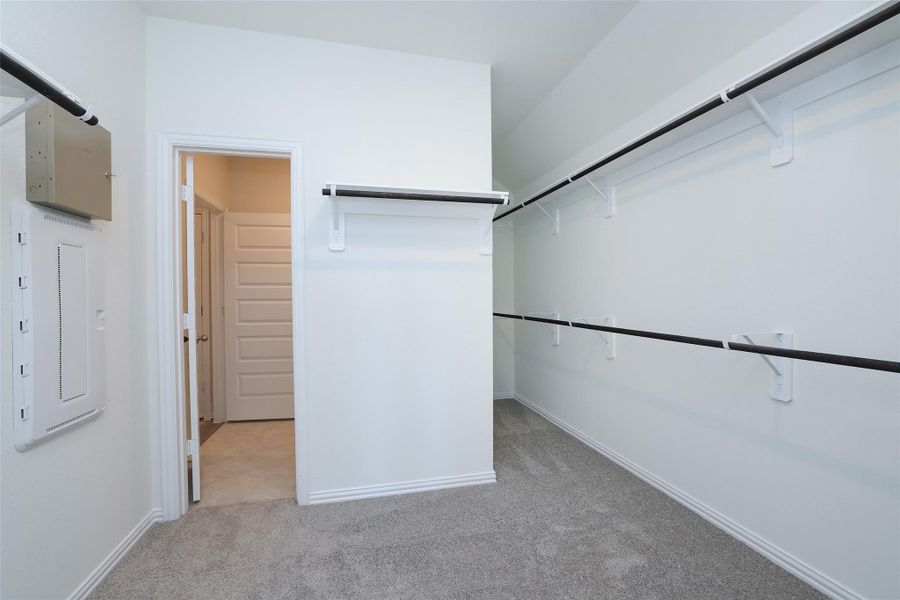 Spacious, unfurnished interior of a new home in Cypress Green, Hockley (Image 19).